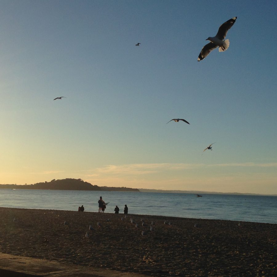 Exterior view at dusk of one of Auckland’s many beaches.  