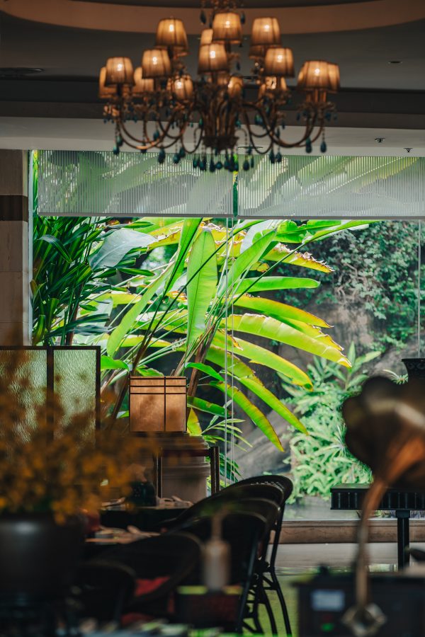 The decor inside Qinyuan includes plenty of greenery and classy furniture.