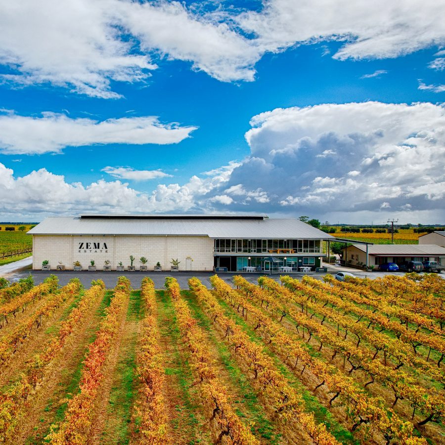 Neat rows of grapevines are lined up at the Zema estate. 