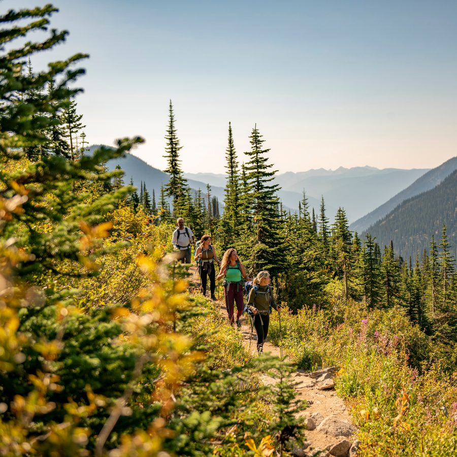  group of people hike through the mountainous landscape in British Columbia