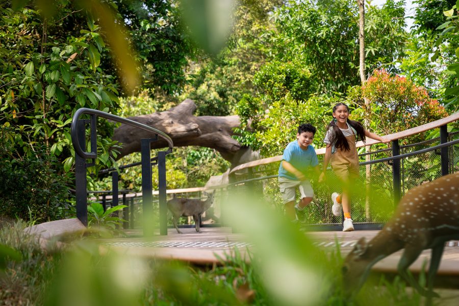 Two children running along the boardwalk at Rainforest Wild Asia, Singapore