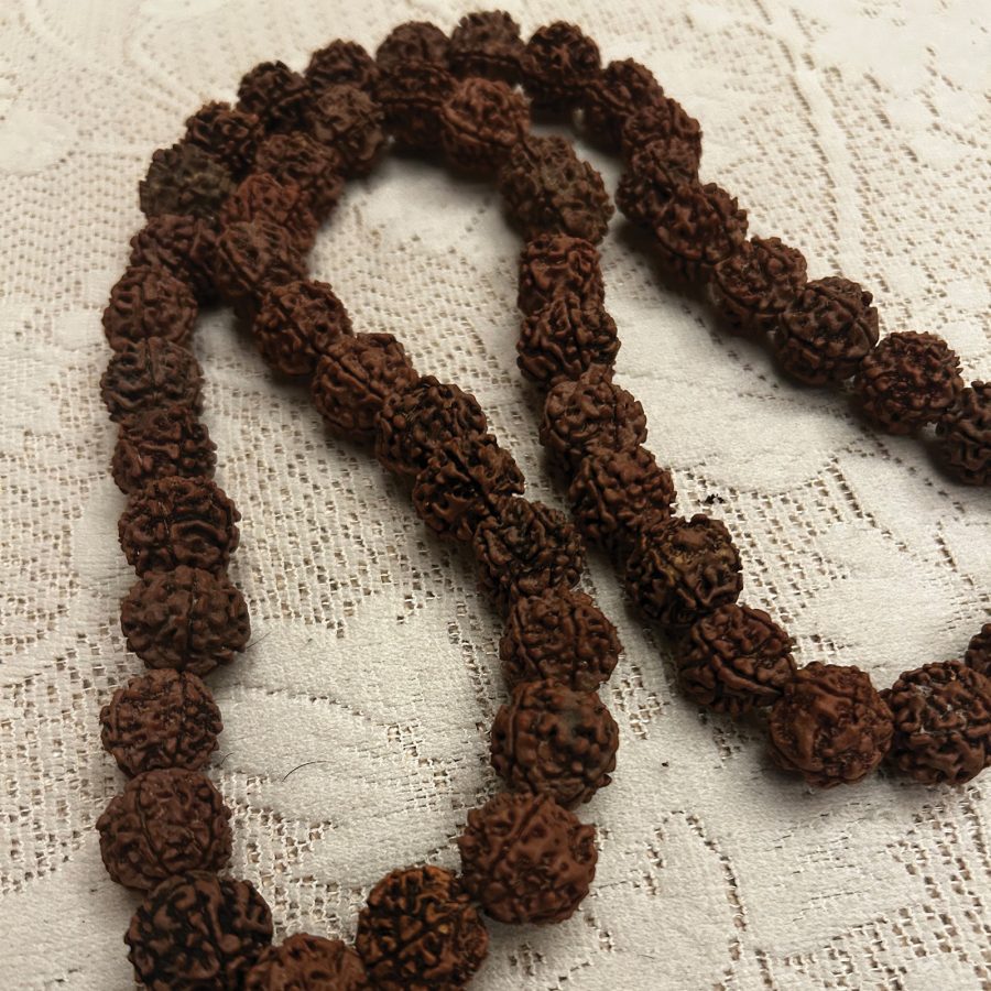A necklace threaded with rudraksha beads.