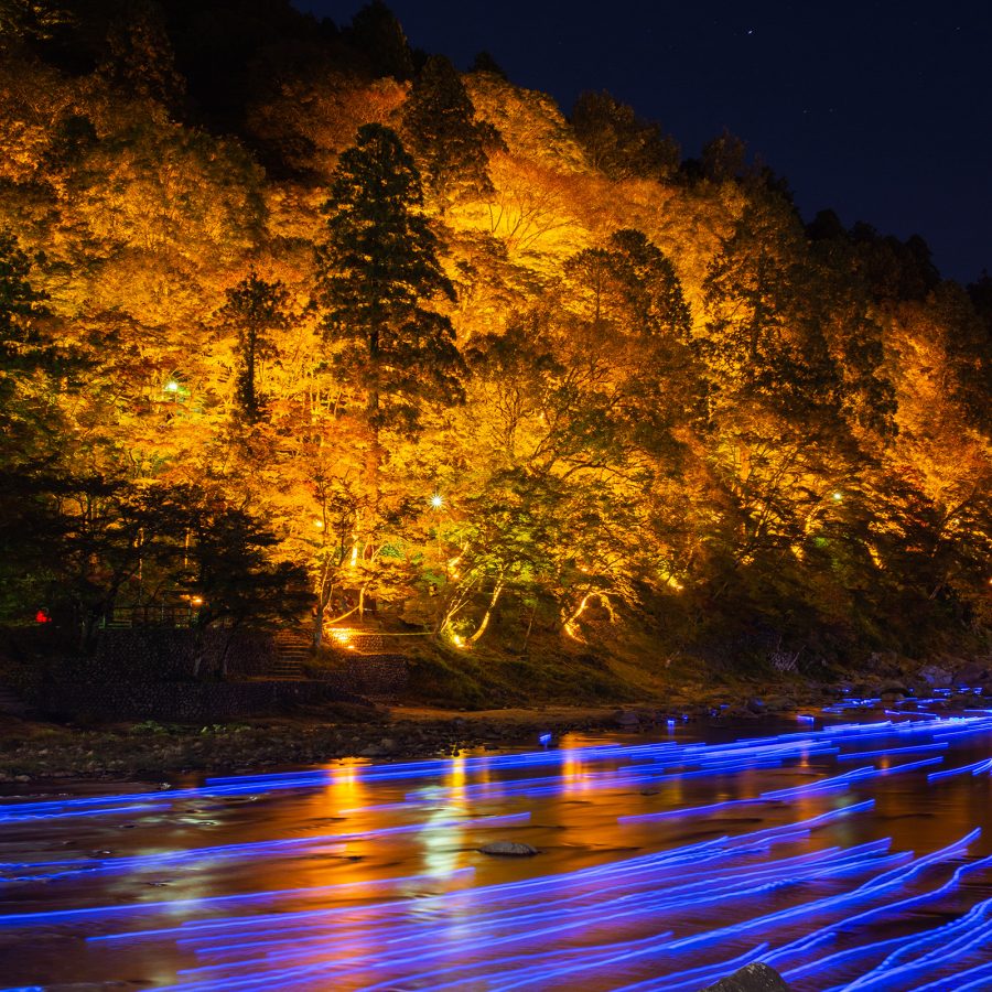 At night, Korankei Gorge glows yellow while hosting the Korankei Maple Festival during autumn. 