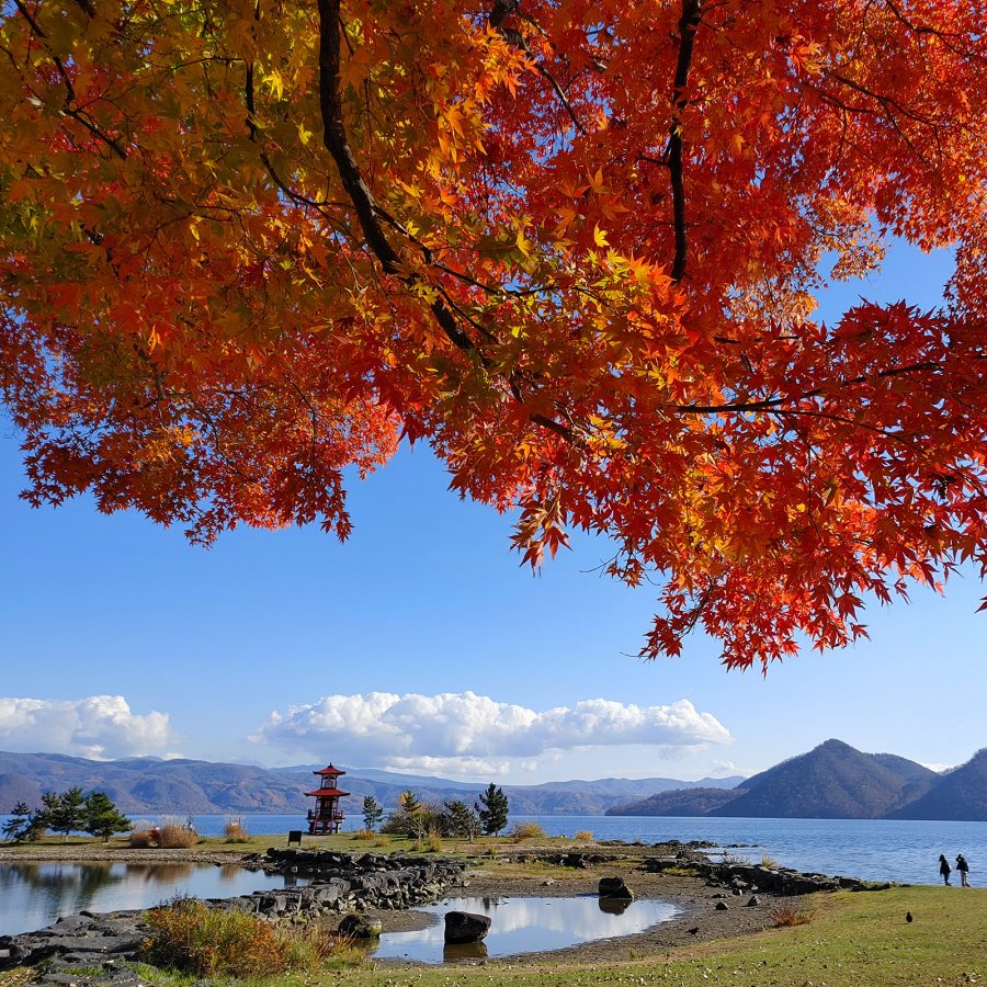 Shikotsu-Toya National Park looks out at a vista of mountains, water and grass from underneath a maple tree turning red during autumn.