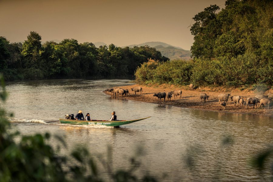 Two guests on a boat ride in the daytime. Buffalo can be seen on the shore. 