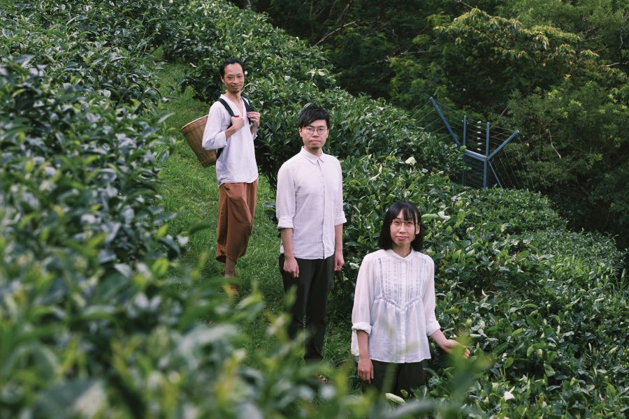 The trio behind Hong Kong Tea Production Institute standing amongst rows of tea bushes.