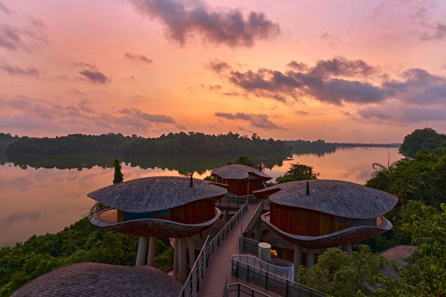 The wooden, pod-like Mandai Treehouses at sunset, with the Upper Seletar Reservoir in the background.