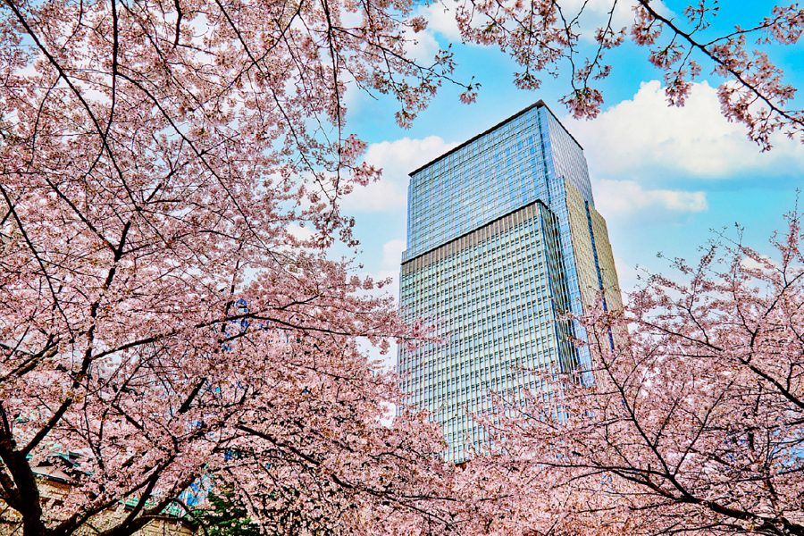 Exterior view of Mandarin Oriental hotel in Tokyo, framed by cherry blossom trees on a sunny day