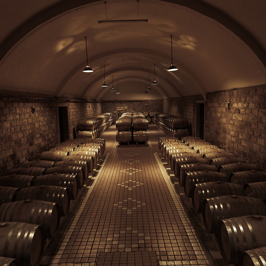 Interior view of a wine cellar with a curved roof and mosaic floor.