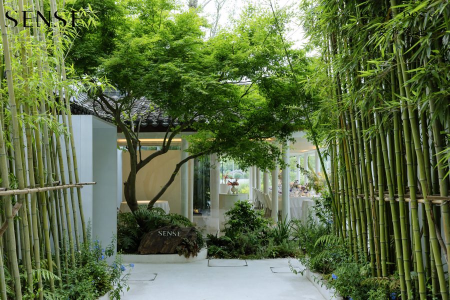 Exterior view of the entrance to Sense restaurant, lined with bamboo.