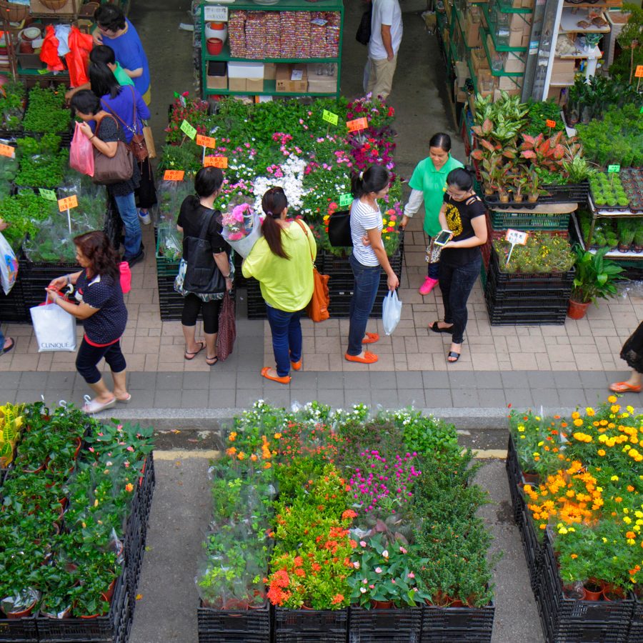 Crowds browse rows of plants for sale at the famous flower market in Hong Kong.