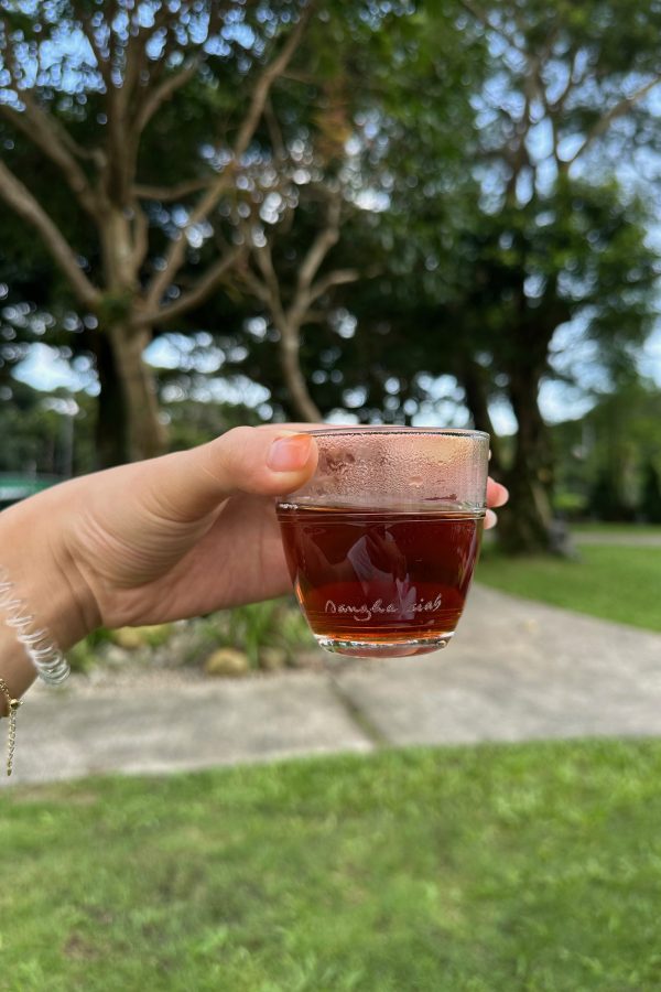 The writer holding up a cup filled with tea in a garden. 