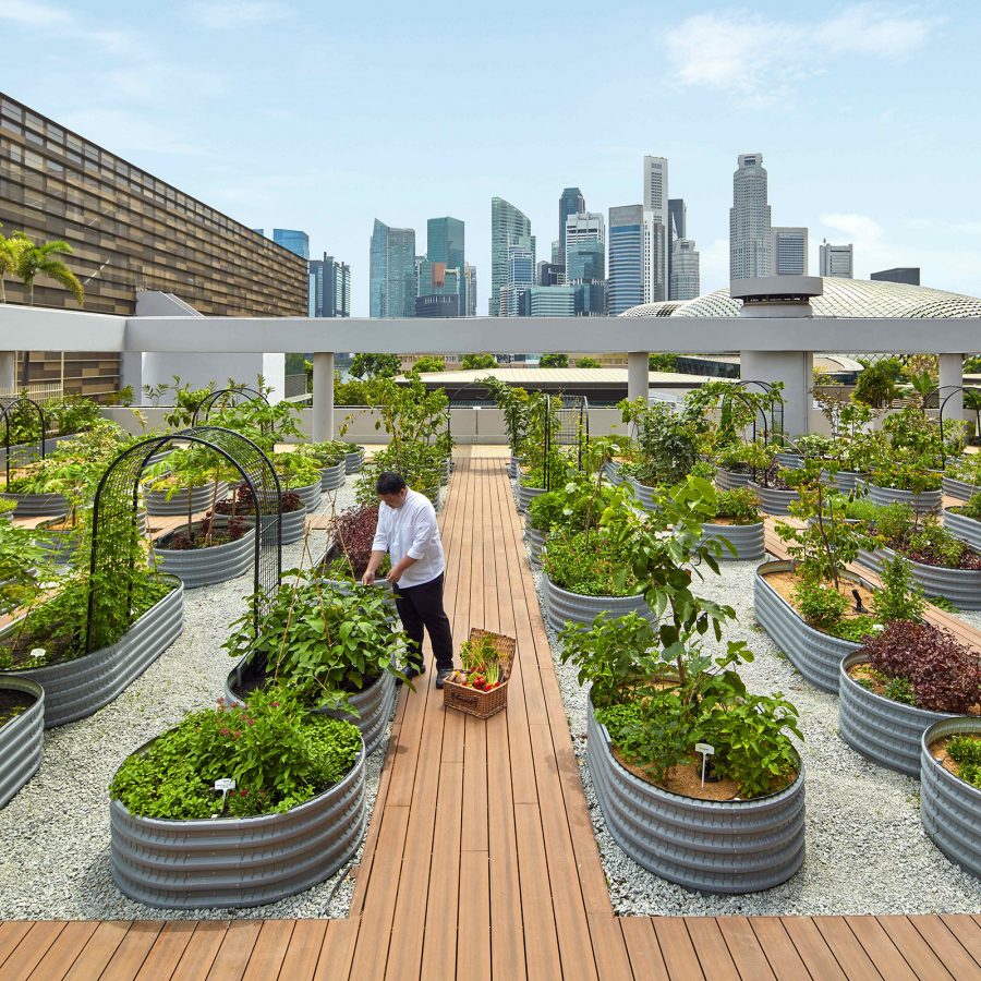 A view of the rooftop garden at ParkRoyal Collection Marina Bay hotel, Singapore.