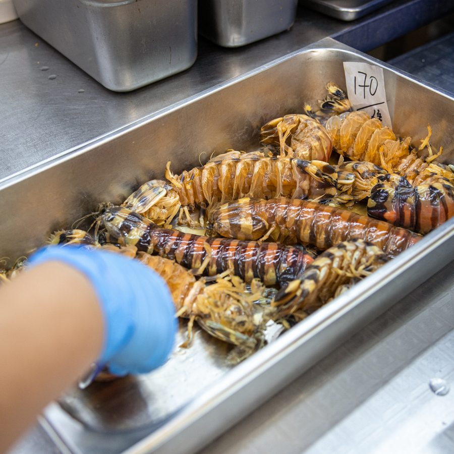 A chef prepares a tray full of mantis shrimp.   
