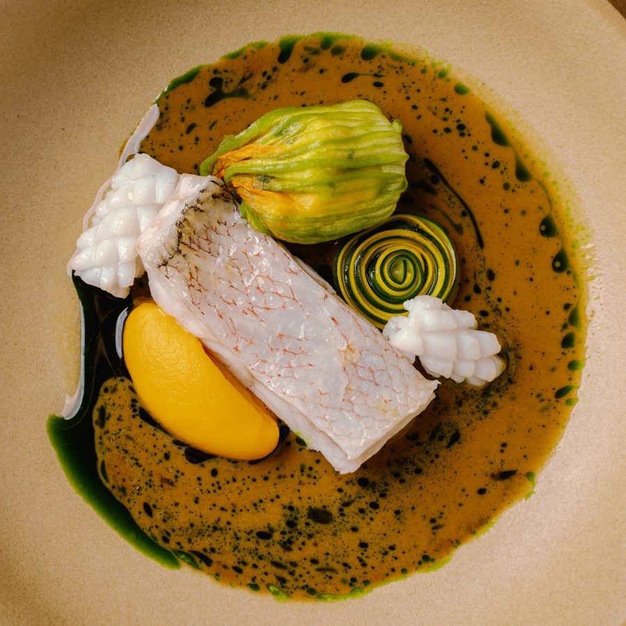 A top-down look at a dish shows a fillet of fish resting on a plate alongside various vegetables and sauce. 