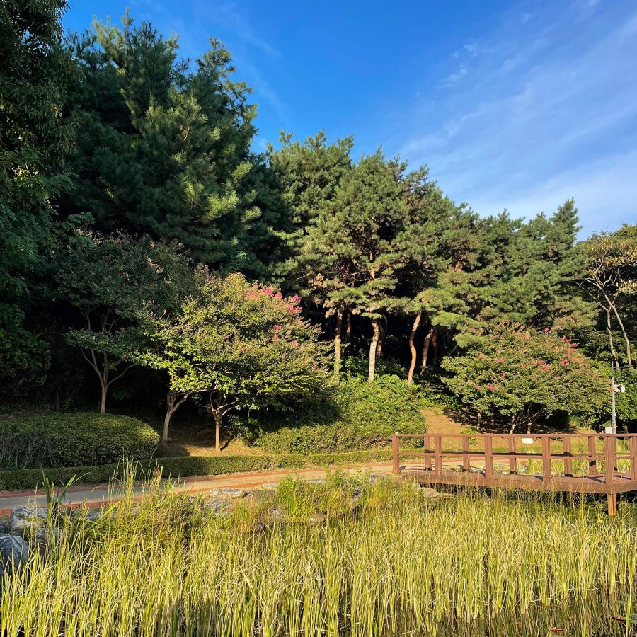 Namsan Outdoor Botanical Garden in Seoul in the afternoon.