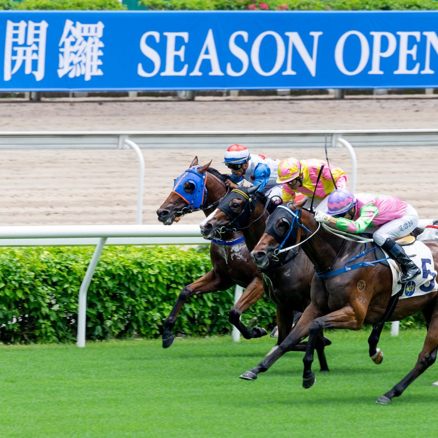 Jockeys and horses race one another at a Hong Kong season opening of the sport