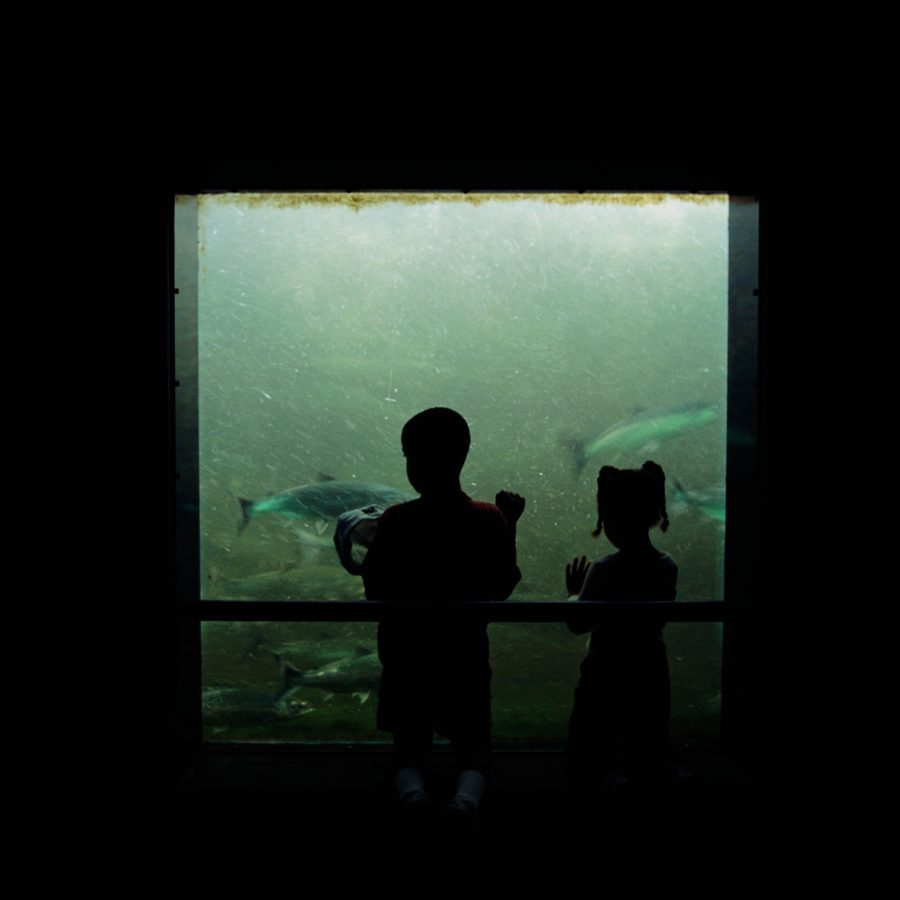 A child stands silhouetted against the glass viewing wall beneath the Hiram M. Chittenden Locks in Seattle. 