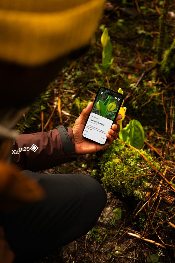 A person holding a smartphone in a forested area with a photo of a plant and description on the screen.