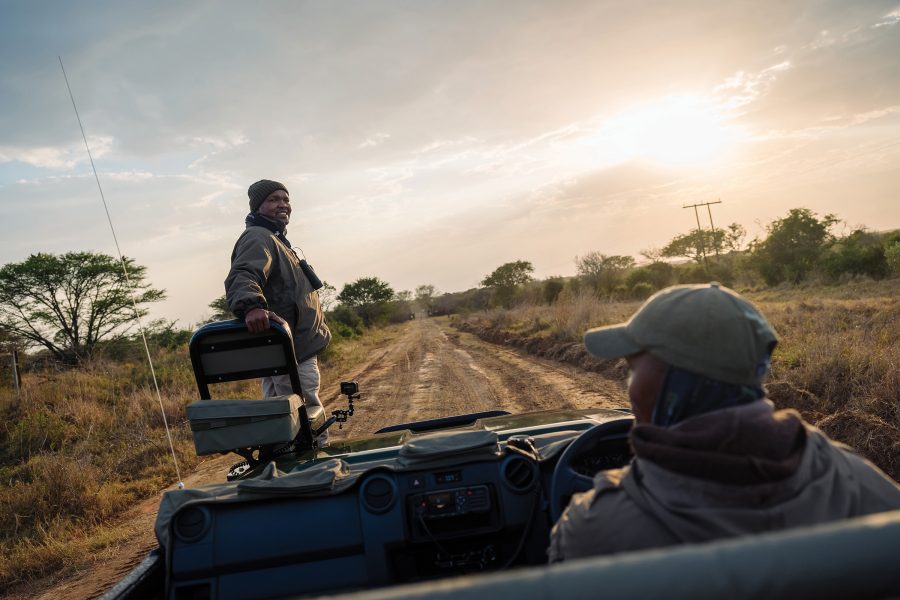 The front of a safari vehicle, with a tracker in his raised seat and a guide behind the wheel.