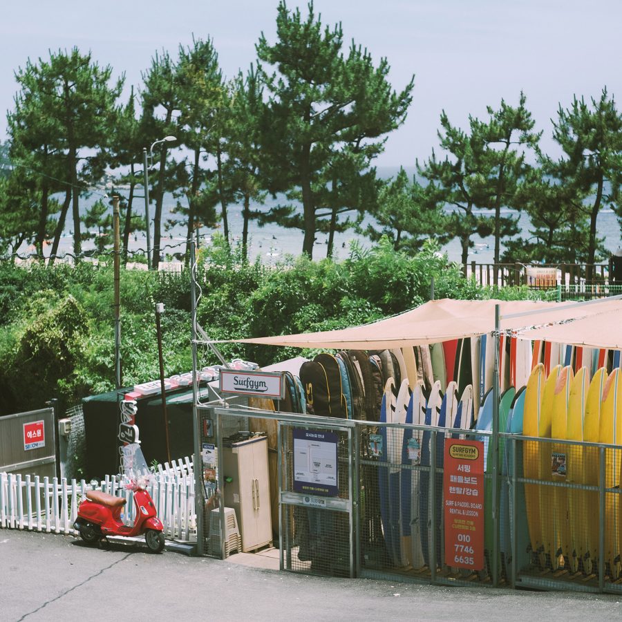 Surfgym’s surfboard storage shed, surrounded by trees, with the beach in the distance. 