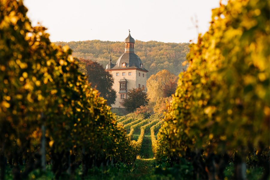 Schloss Vollrads wine estate seen from afar from across the vineyard on a sunny day.