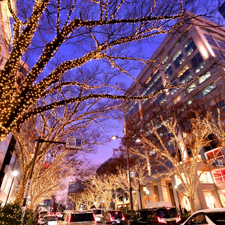 City street at dusk with trees wrapped in golden string lights, surrounded by modern buildings and light traffic.