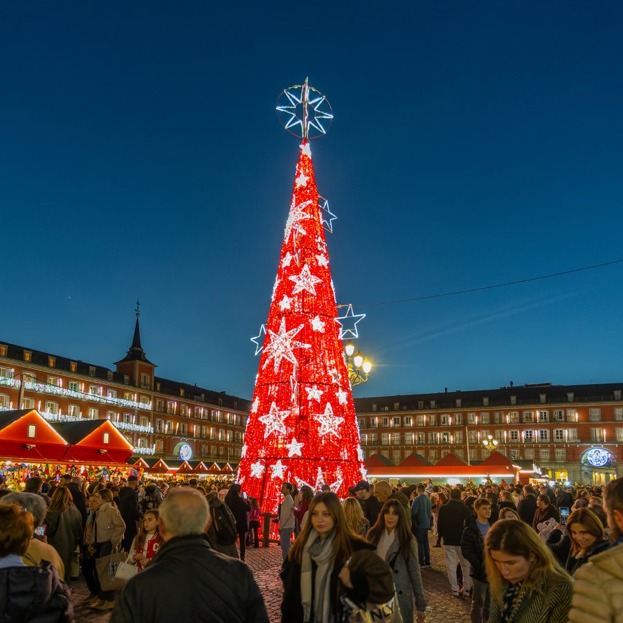 Tall illuminated Christmas tree in a public square at night, surrounded by historic-style buildings adorned with lights.