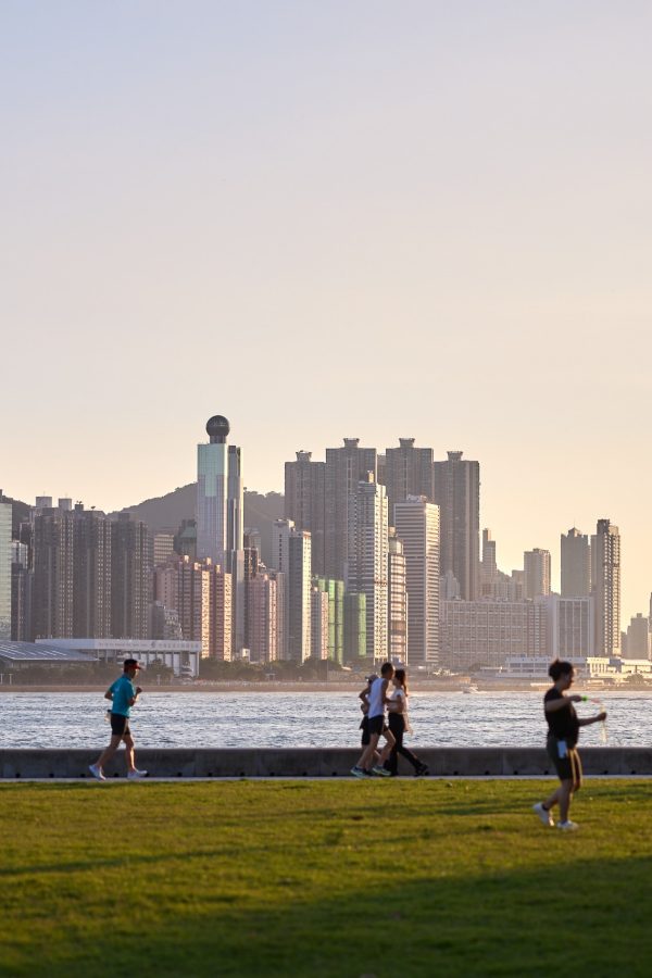 Scenic view of West Kowloon promenade featuring a lush green lawn, palm trees, and the harbour in the background. 