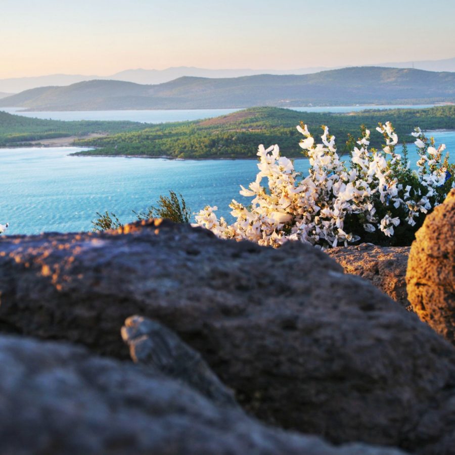 Whitehaven Beach, Whitsundays