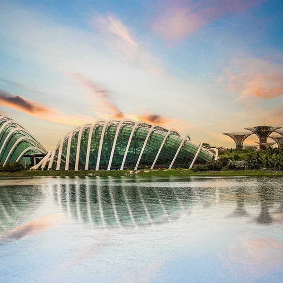 Gardens by the Bay