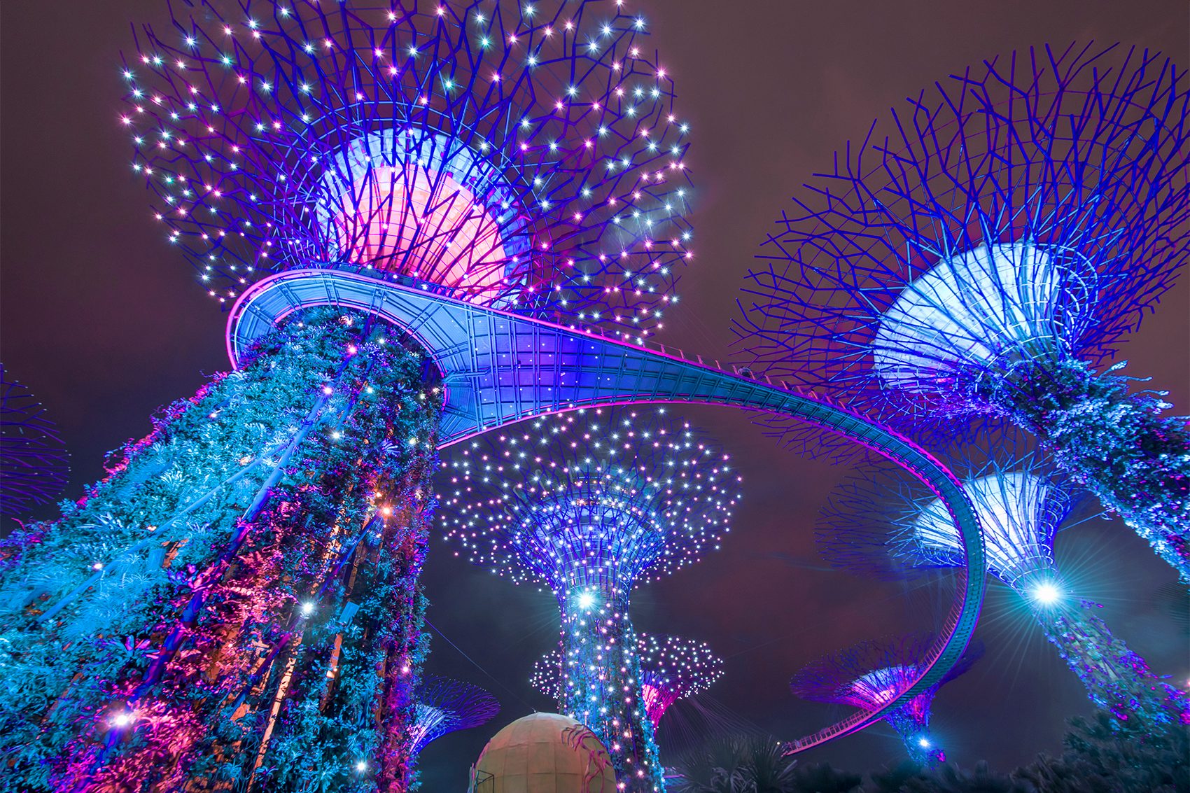 The supertree grove in gardens by the bay