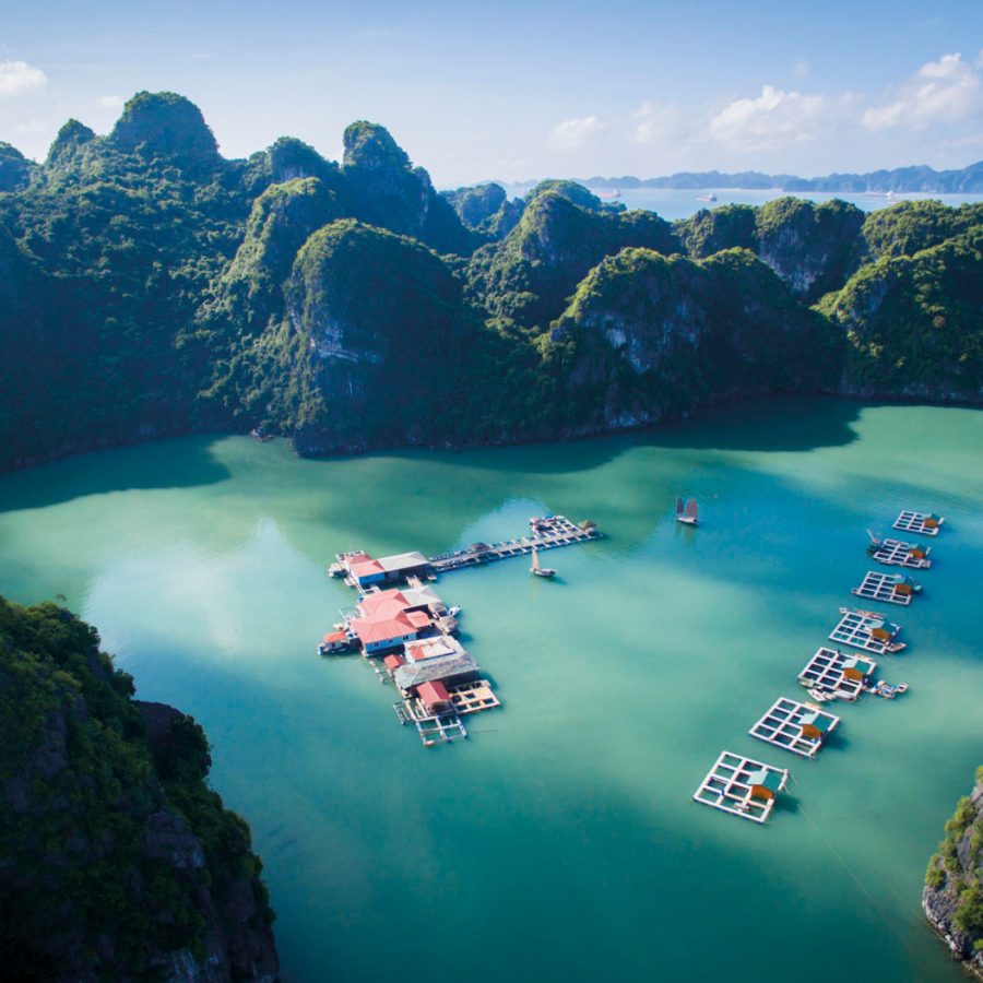 Bai Tu Long