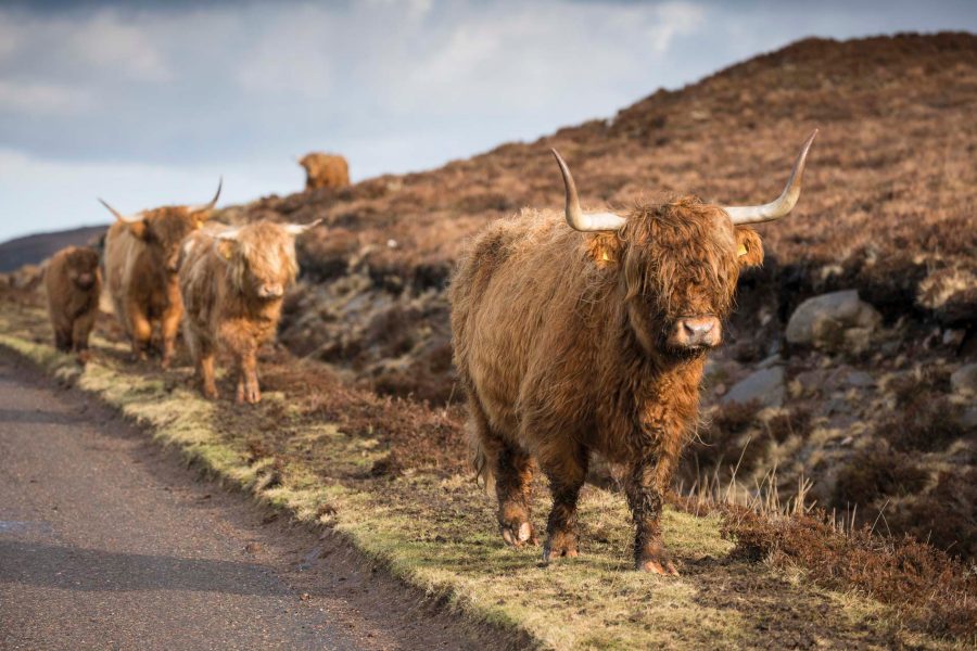 Scotland, North Coast, road trip