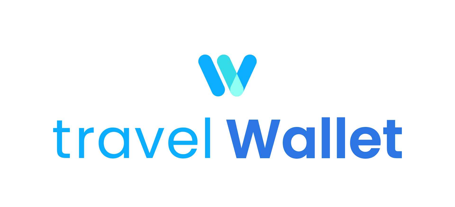 Travel Wallet
