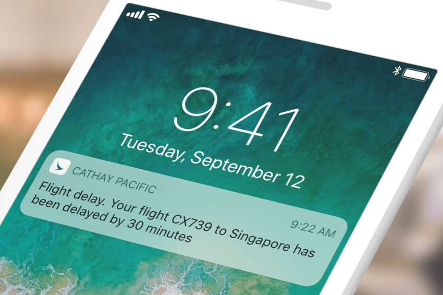 Flight Notifications