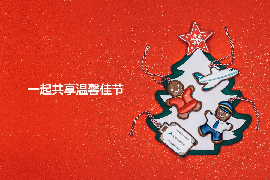 雙十一伴里購物