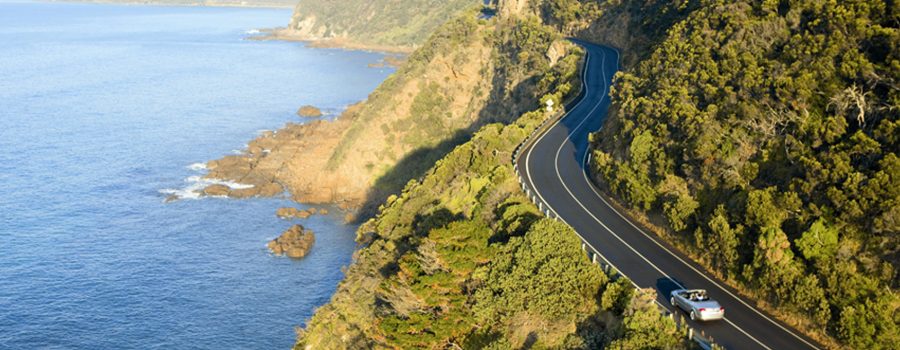 Book Hertz car with us and save