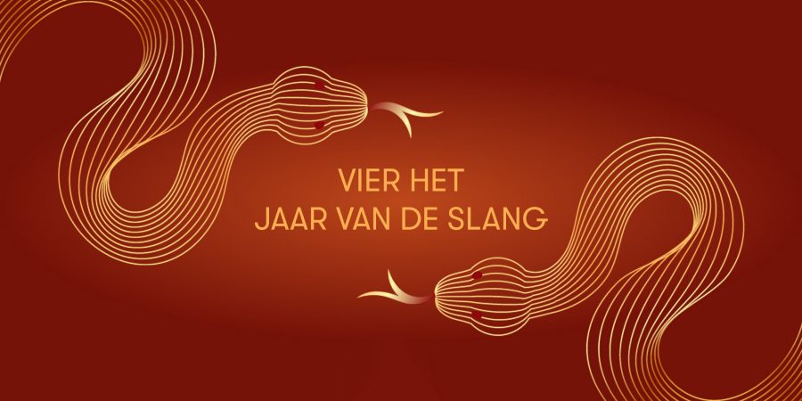 The Year of the Dragon