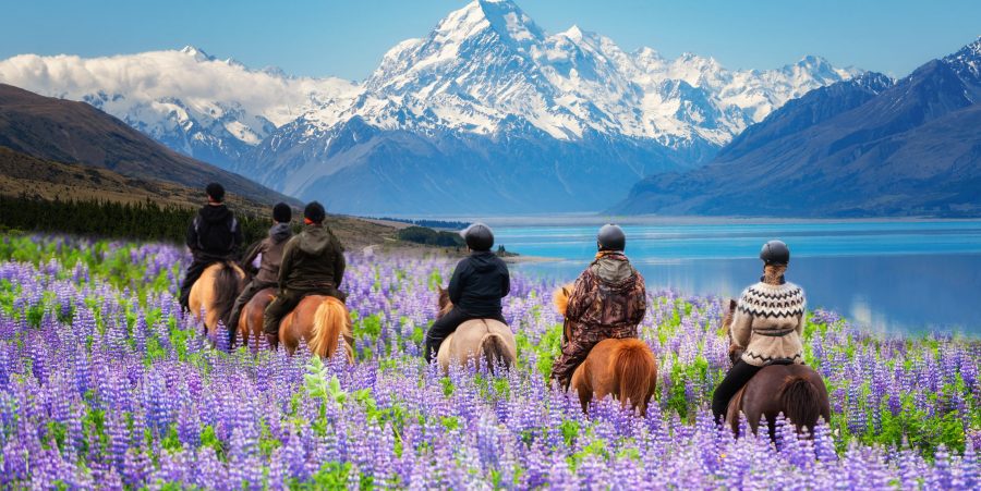 New Zealand