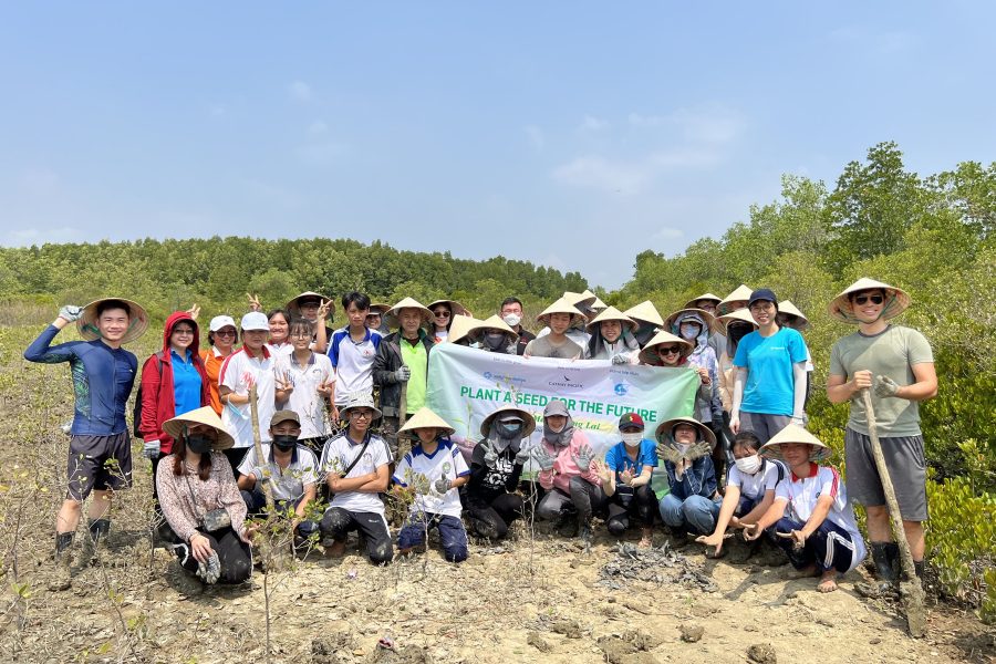 Vietnam tree planting