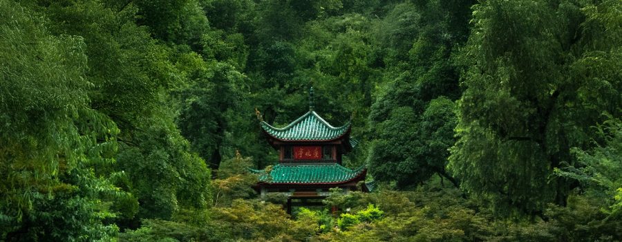 复航长沙限时优惠