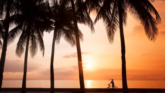 flights from new zealand to manila 