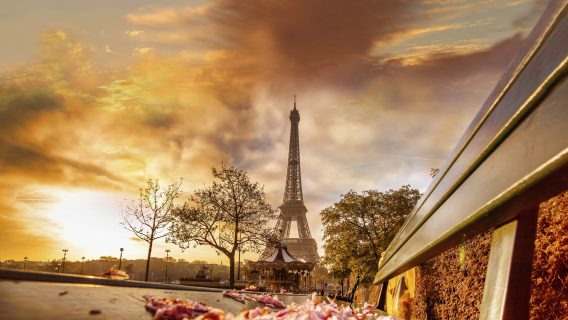 flights from New Zealand to Paris