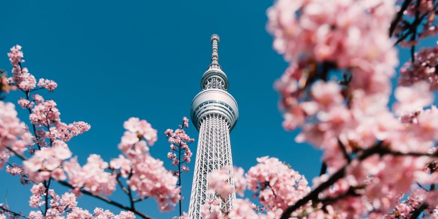 日本年度機票優惠