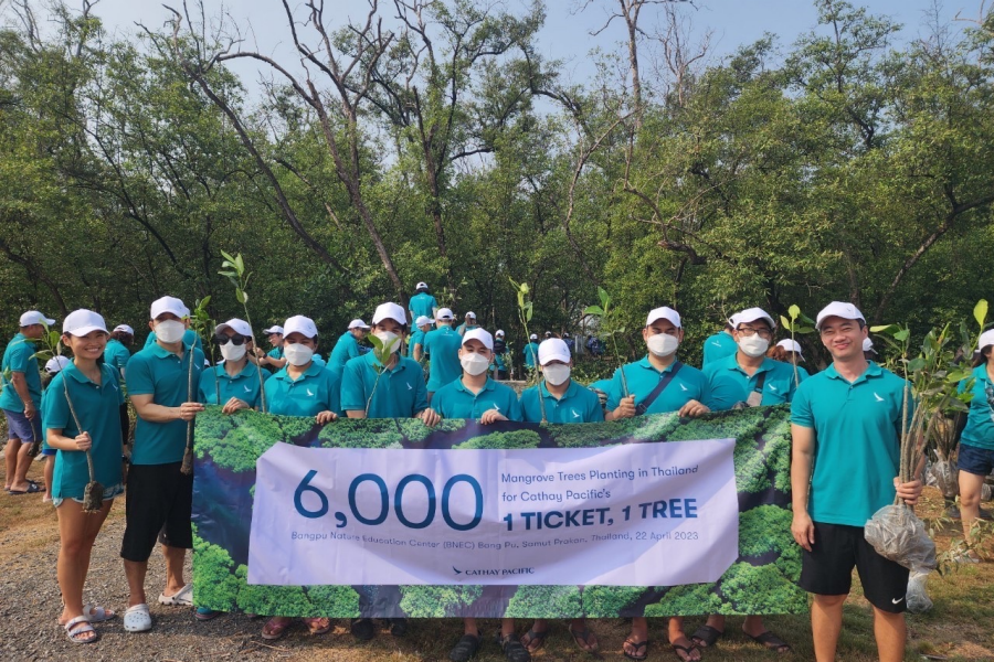 Thailand tree planting